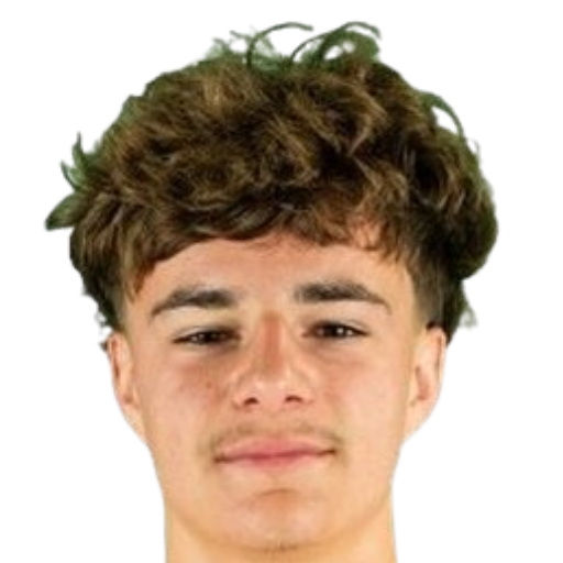 加宾·贝尔纳多